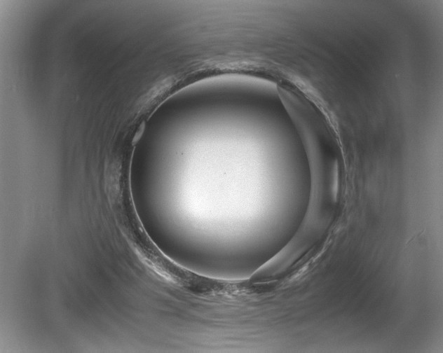 X0000080680201200612151231