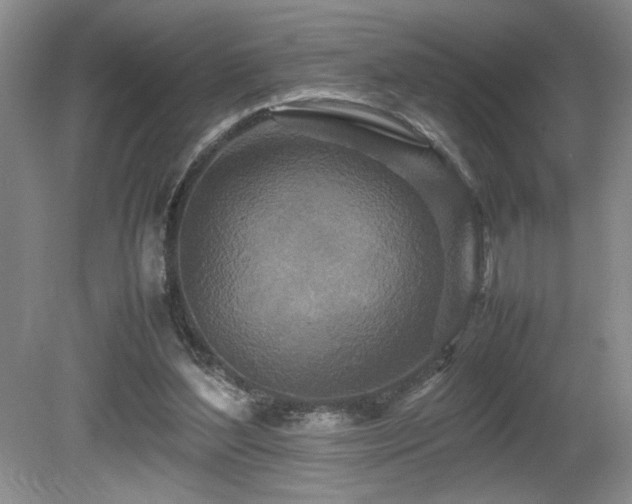 X0000080680204200612151231