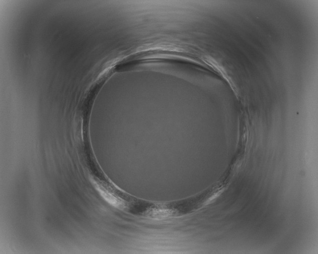 X0000080680205200612151231