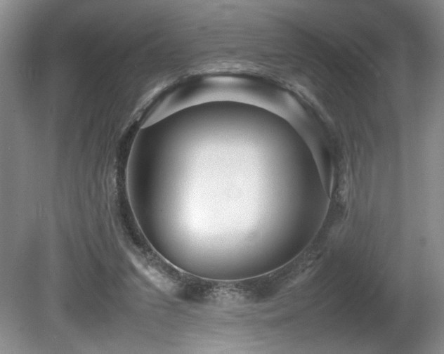 X0000080680207200612151231