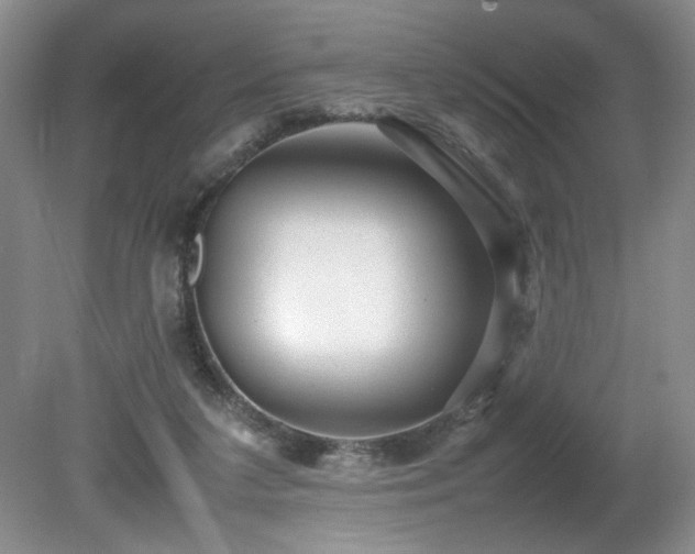 X0000080680211200612151231