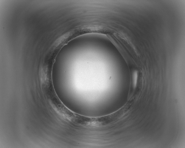 X0000080680212200612151231