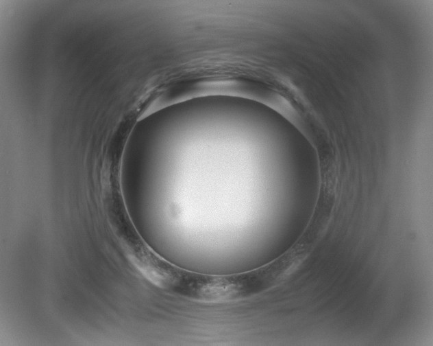 X0000080680213200612151231