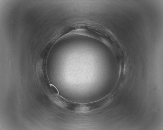 X0000080680217200612151231
