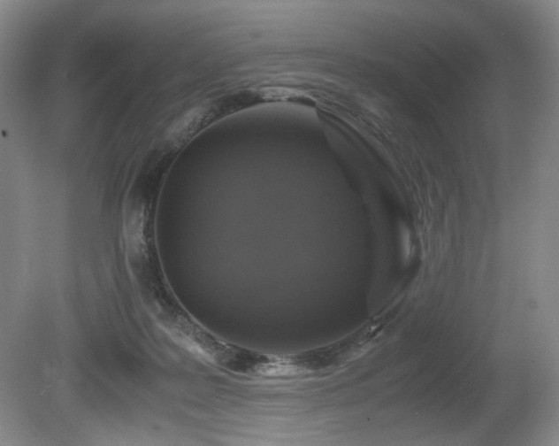 X0000080680219200612151231