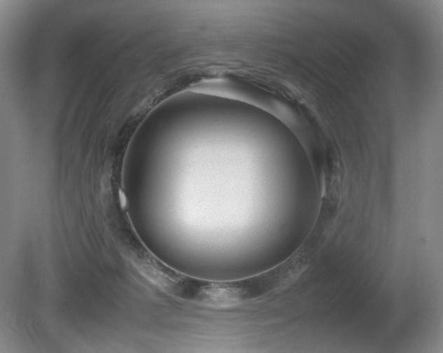X0000080680221200612151231