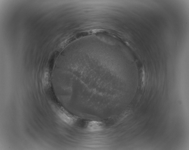 X0000080680222200612151231