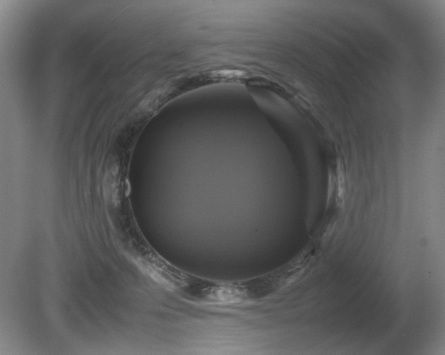 X0000080680223200612151231