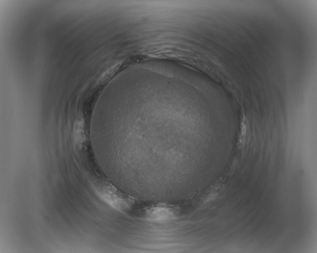 X0000080680224200612151231