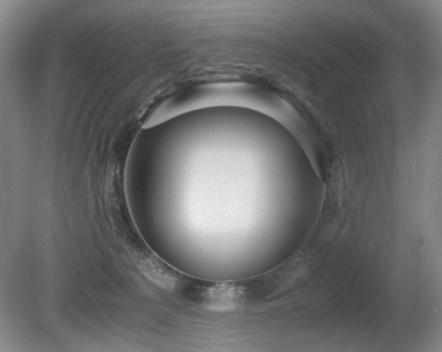 X0000080680225200612151231