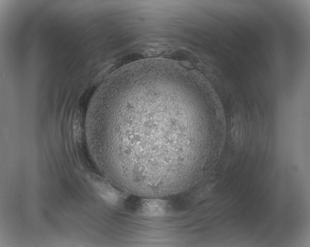 X0000080680226200612151231