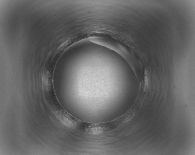 X0000080680228200612151231