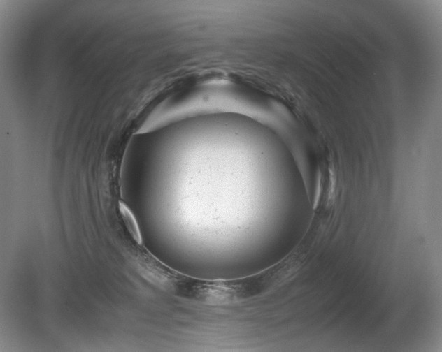 X0000080680229200612151231