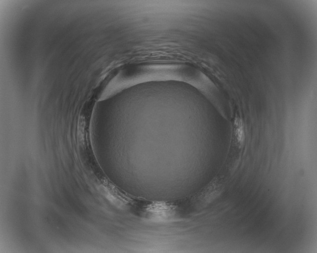 X0000080680231200612151231