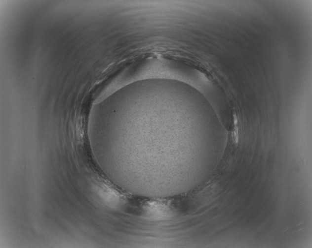 X0000080680232200612151231