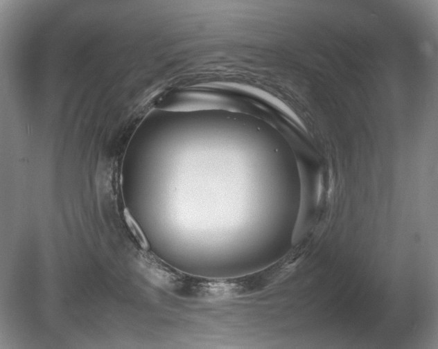 X0000080680233200612151231