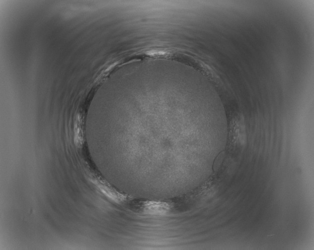 X0000080680234200612151231
