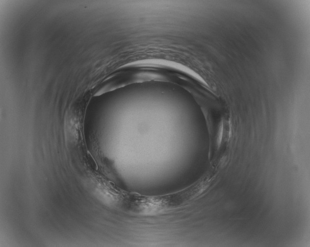 X0000080680235200612151231