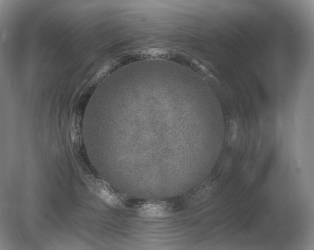 X0000080680236200612151231