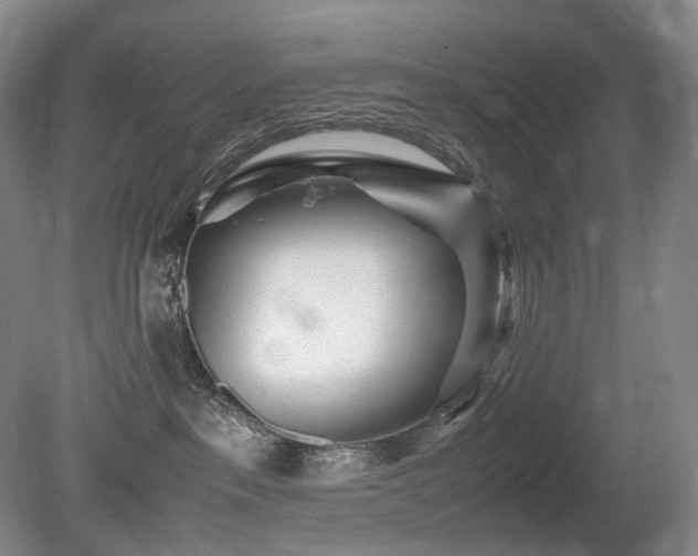 X0000080680237200612151231