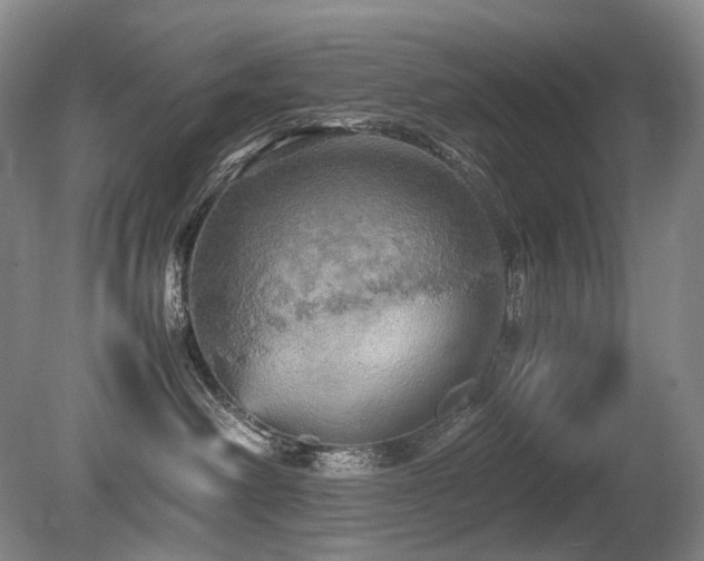 X0000080680238200612151231