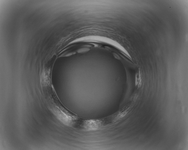 X0000080680239200612151231