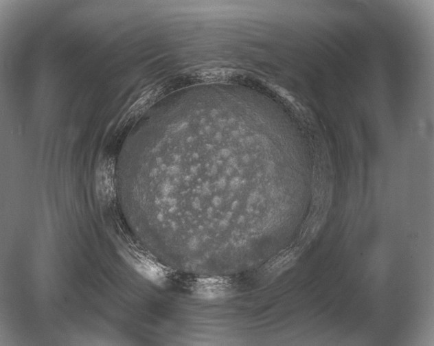 X0000080680240200612151231