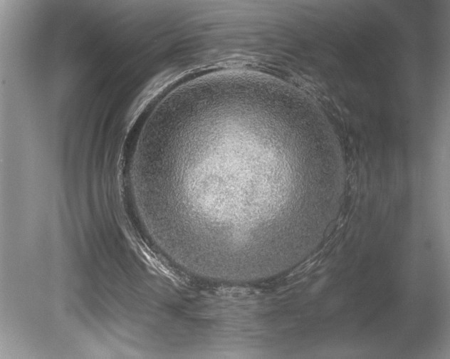 X0000080680242200612151230