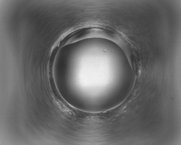 X0000080680244200612151230