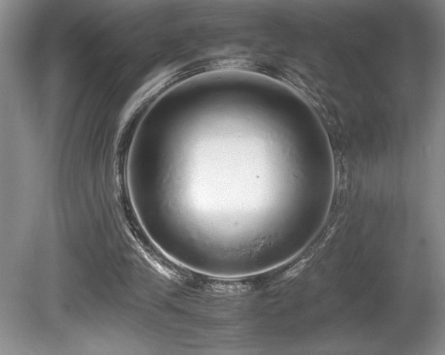 X0000080680245200612151230