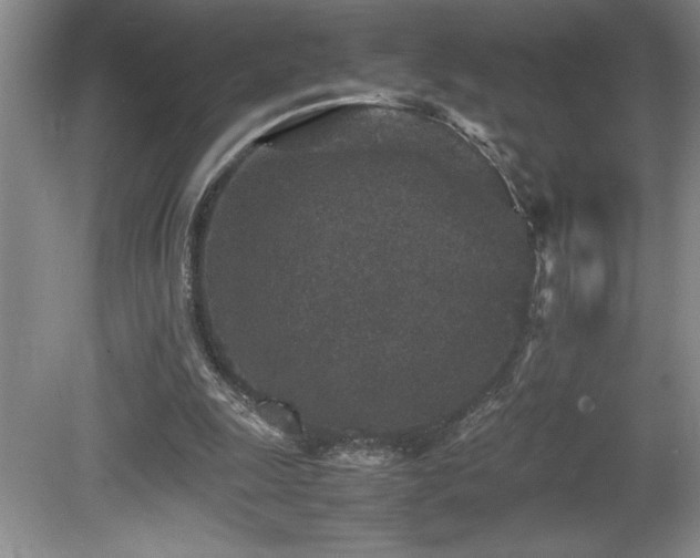 X0000080680247200612151230
