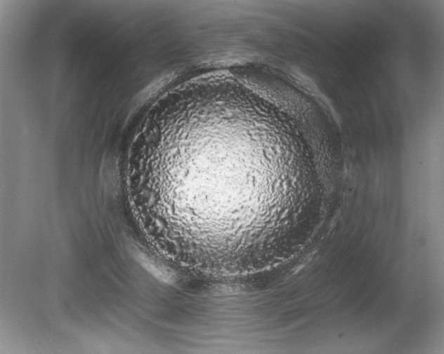 X0000080680250200612151230