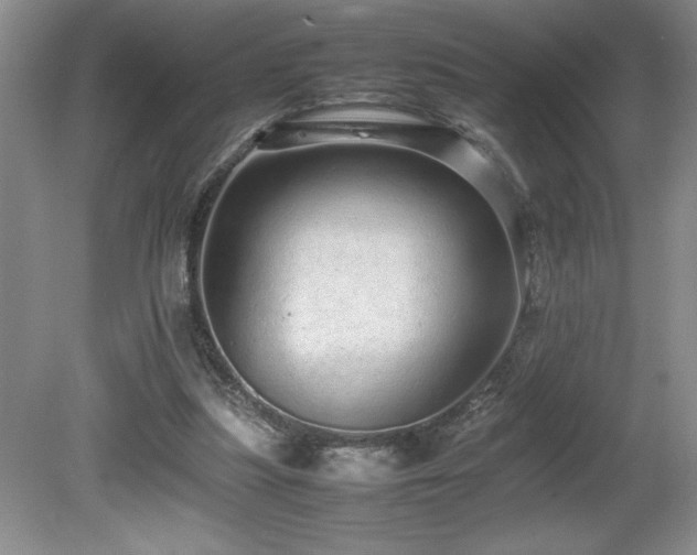 X0000080680251200612151230