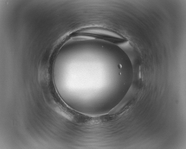 X0000080680252200612151230