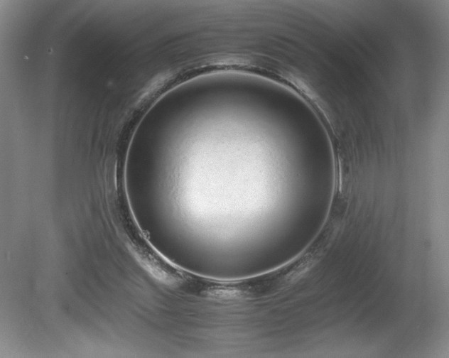 X0000080680253200612151230
