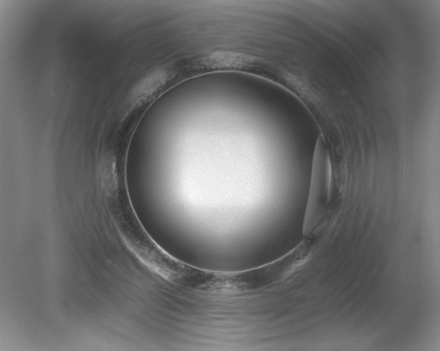 X0000080680254200612151230