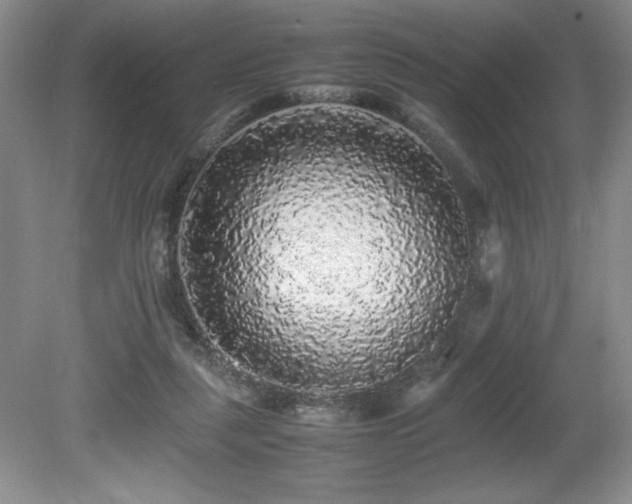 X0000080680259200612151230