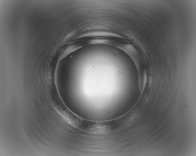 X0000080680260200612151230
