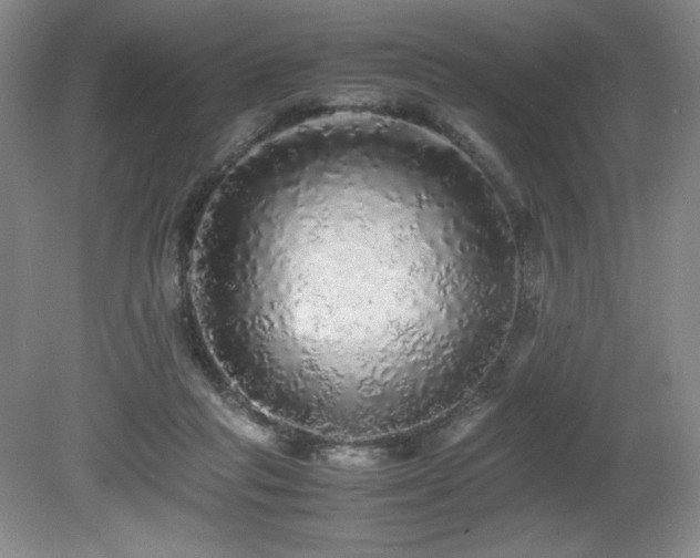X0000080680261200612151230