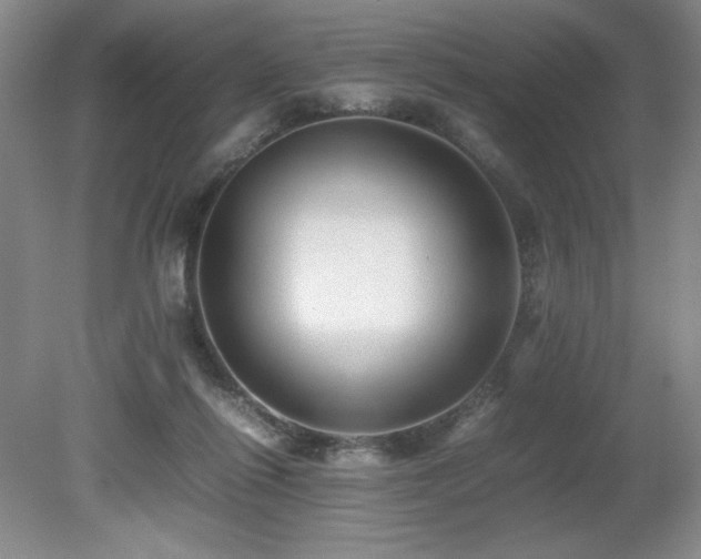 X0000080680262200612151230