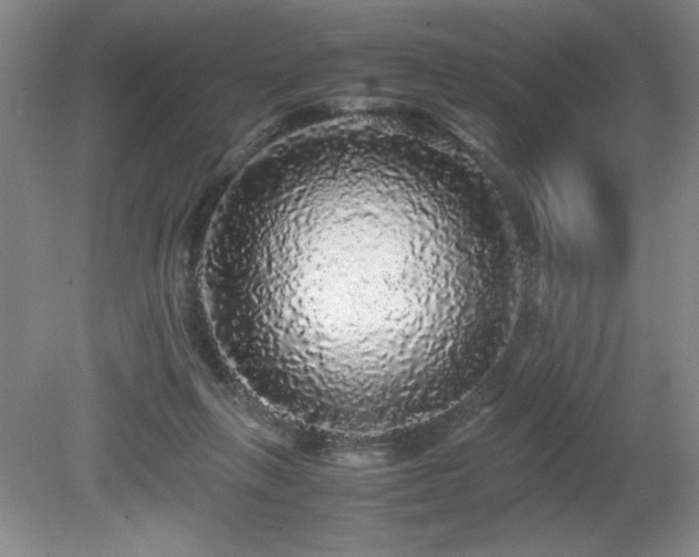 X0000080680263200612151230
