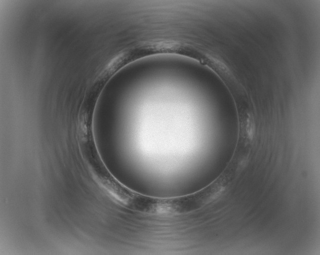 X0000080680264200612151230