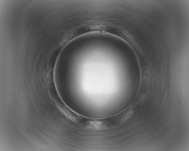 X0000080680265200612151230