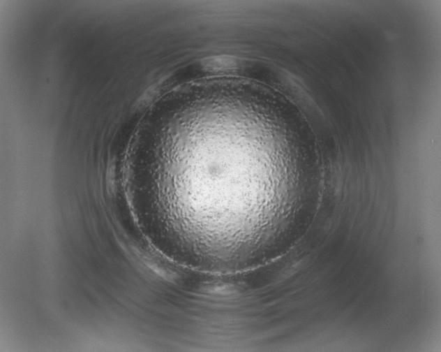 X0000080680267200612151230