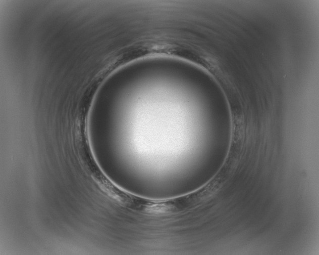 X0000080680269200612151230