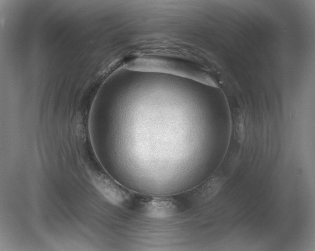 X0000080680270200612151230
