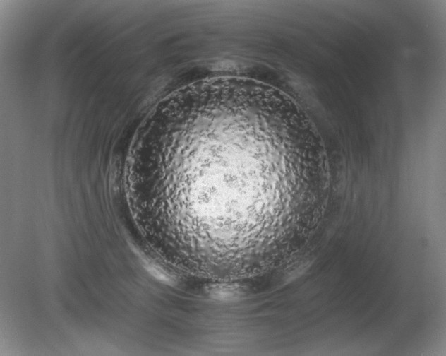 X0000080680273200612151231