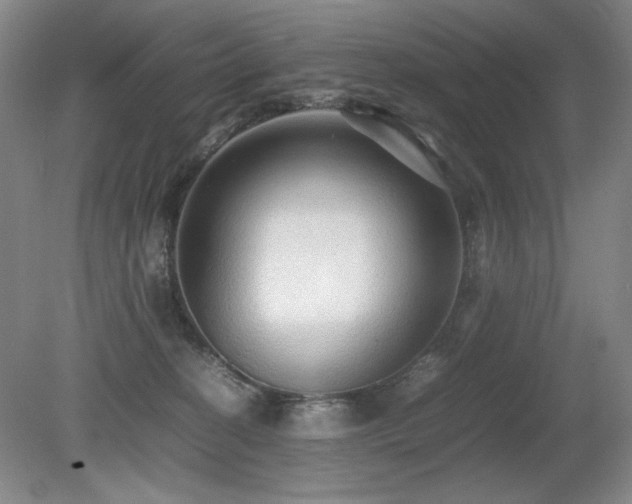 X0000080680274200612151231