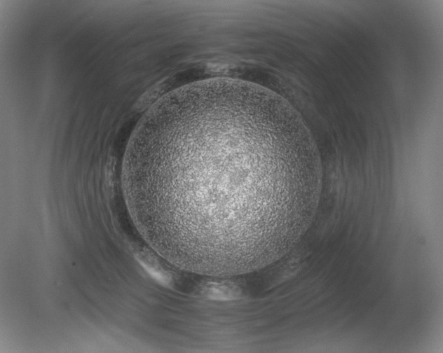 X0000080680275200612151231