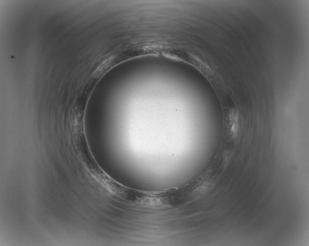 X0000080680276200612151231